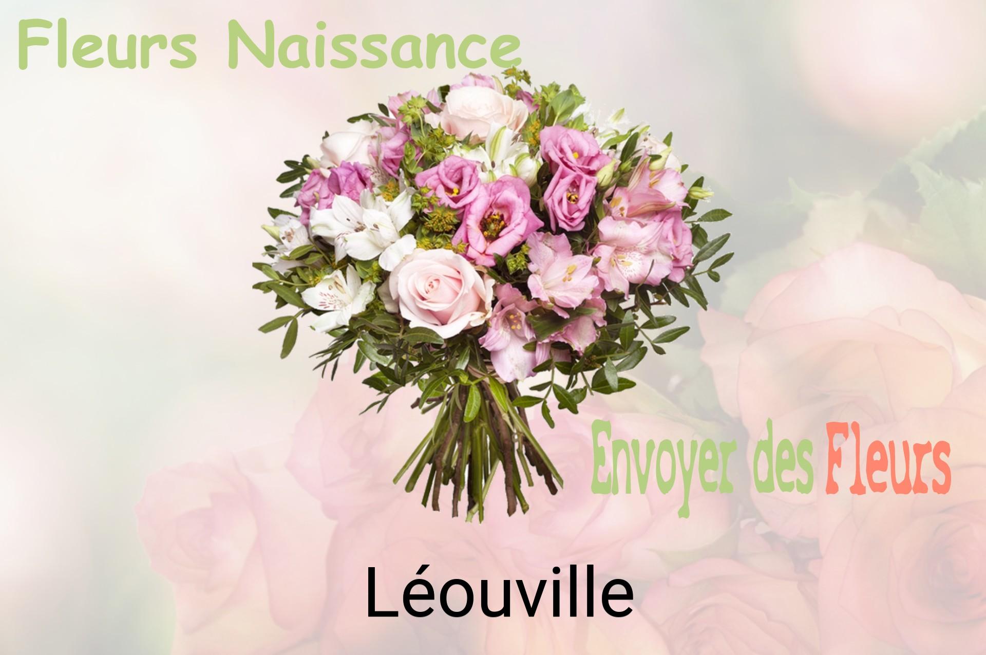 Bouquet de fleurs de naissance livré à Léouville