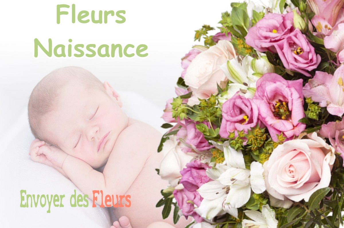 lIVRAISON FLEURS NAISSANCE à LEOUVILLE